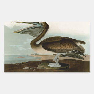 Pegatina Rectangular Obra de arte Pintura de pelícano marrón de John Ja