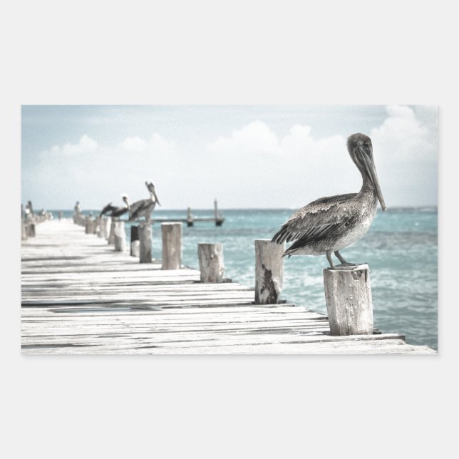 Pegatina Rectangular Océano costero pelícano (Anverso)