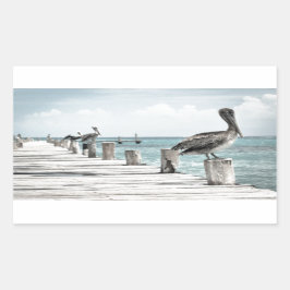 Pegatina Rectangular Océano costero pelícano