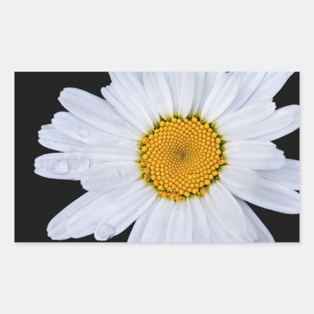 Pegatina Rectangular oferta (Anverso)