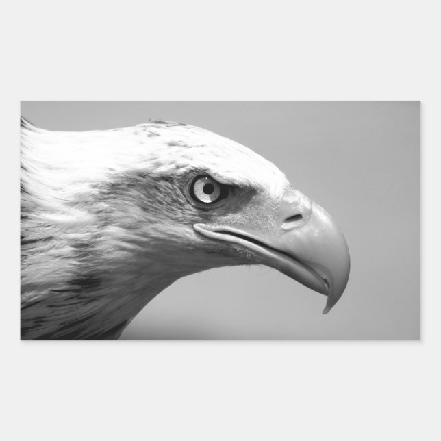Pegatina Rectangular Ojo de águila blanca y negra (Anverso)