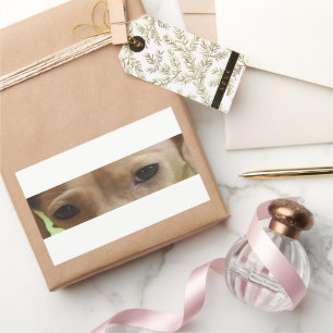 Pegatina Rectangular ojos de crema dachshund