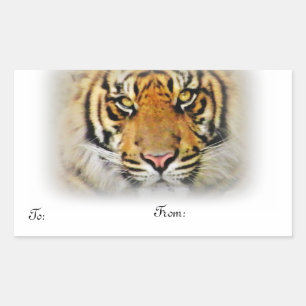 Pegatina Rectangular Ojos del tigre, amor.