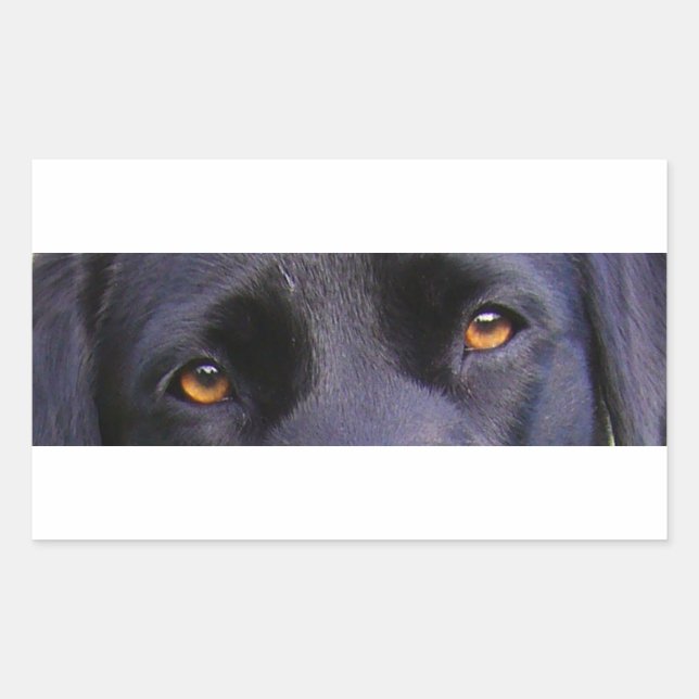 Pegatina Rectangular Ojos negros réflex (Anverso)