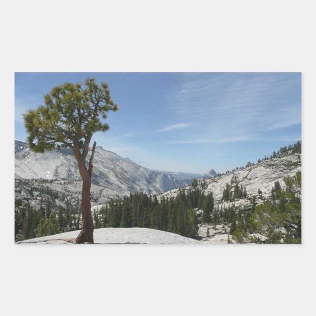 Pegatina Rectangular Olmsted Point I en el Parque Nacional Yosemite (Anverso)