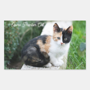 Pegatina Rectangular Opera Gato fantasma