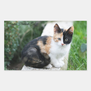 Pegatina Rectangular Opera Gato fantasma