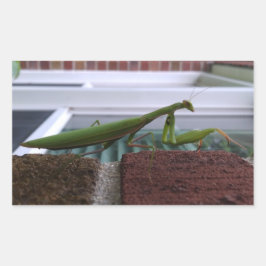 Pegatina Rectangular Orando a los Mantis en la pared de ladrillos