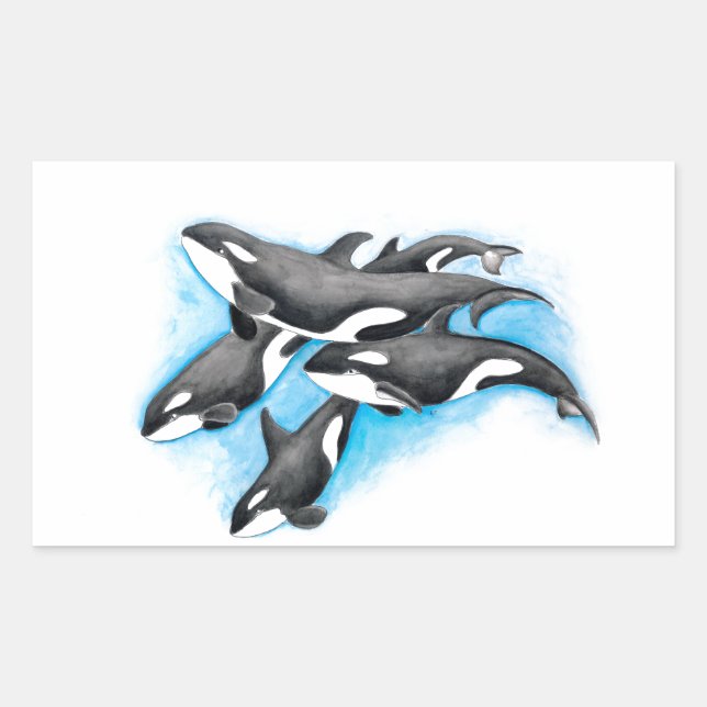 Pegatina Rectangular orcas en azul (Anverso)