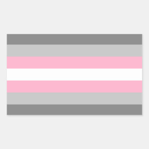 Pegatina Rectangular Orgullo Demigirl