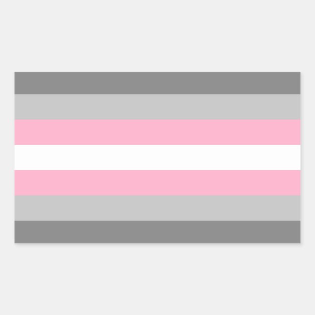 Pegatina Rectangular Orgullo Demigirl (Anverso)