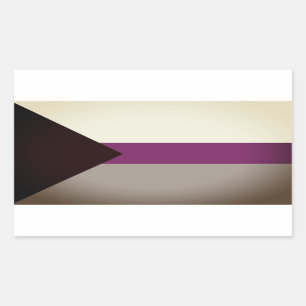 Pegatina Rectangular Orgullo Demisexual