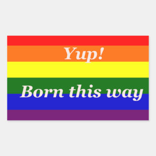 PEGATINA RECTANGULAR ORGULLO GAY SÍ, NACÍ ASÍ