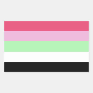 Pegatina Rectangular Orgullo Recipromatético