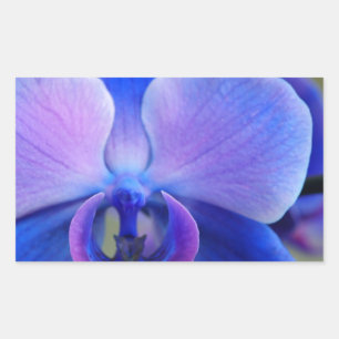 Pegatina Rectangular Orquídea azul y rosa