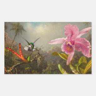 Pegatina Rectangular Orquídea con dos Hummingbirds Heade