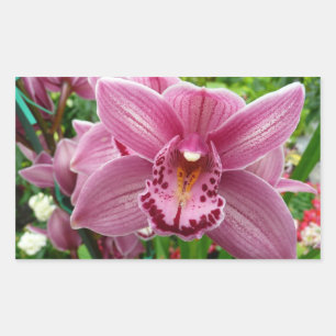 Pegatina Rectangular Orquídea Púrpura Elegante Floral Botánica