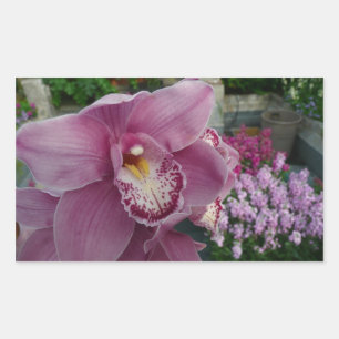 Pegatina Rectangular Orquídea Púrpura y Floral colorida en el jardín