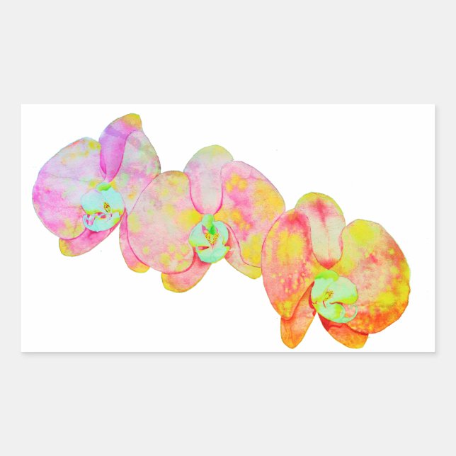Pegatina Rectangular orquídeas caribeñas, flores acuáticas tropicales (Anverso)