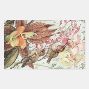 Pegatina Rectangular Orquídeas tropicales, flores y colibríes