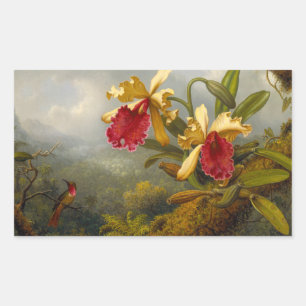 Pegatina Rectangular Orquids y Hummingbird Heade