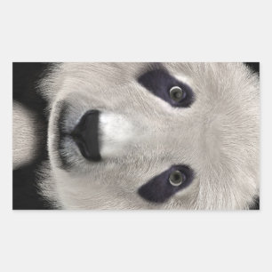 Pegatina Rectangular Oso Panda Lindo Kawaii Regalo Perfecto para Amante