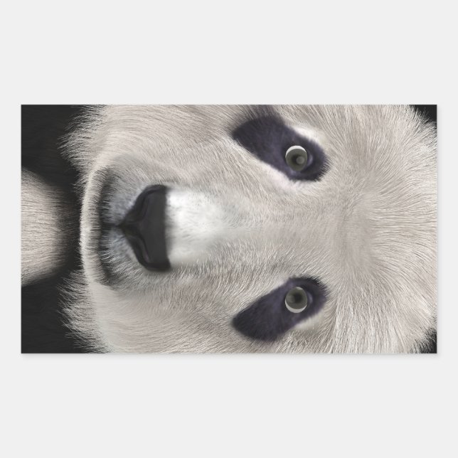 Pegatina Rectangular Oso Panda Lindo Kawaii Regalo Perfecto para Amante (Anverso)
