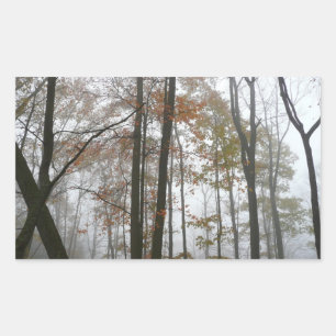 Pegatina Rectangular Otoño Brumoso en la Naturaleza de Otoño de Pensilv