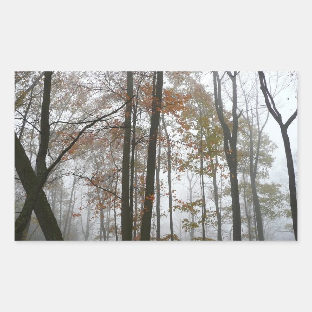 Pegatina Rectangular Otoño Brumoso en la Naturaleza de Otoño de Pensilv (Anverso)