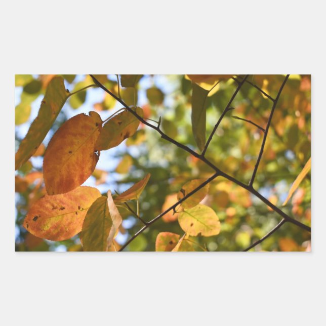 Pegatina Rectangular Otoño de otoño deja fotografía de la naturaleza de (Anverso)