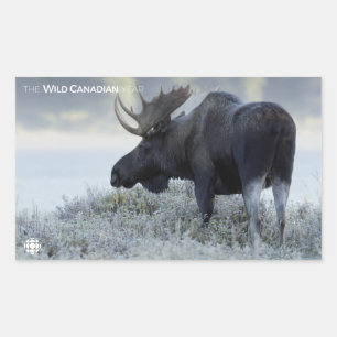 Pegatina Rectangular Otoño - Moose
