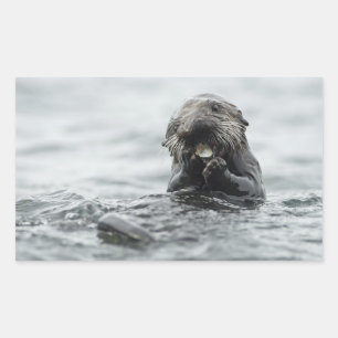 Pegatina Rectangular Otter marino adorable