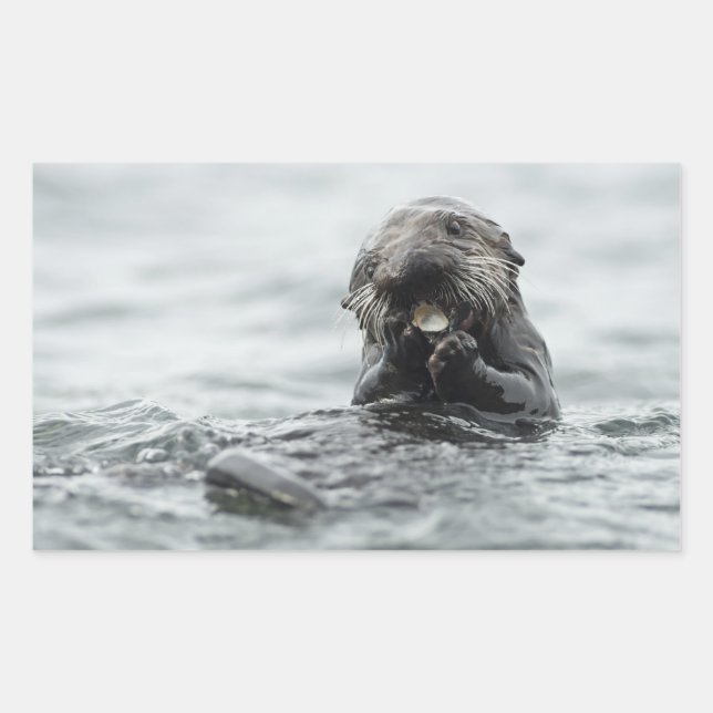 Pegatina Rectangular Otter marino adorable (Anverso)