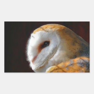 PEGATINA RECTANGULAR OWLS