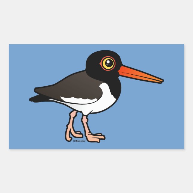 Pegatina Rectangular Oystercatcher estadounidense (Anverso)