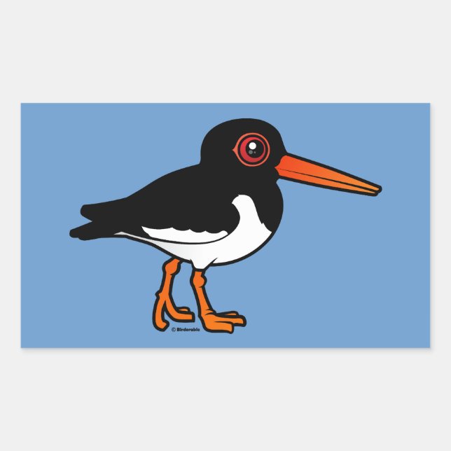 Pegatina Rectangular Oystercatcher euroasiático (Anverso)