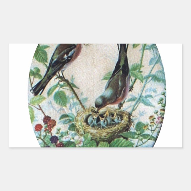 Pegatina Rectangular Padres resinchados, preciosas chichas: La historia (Anverso)