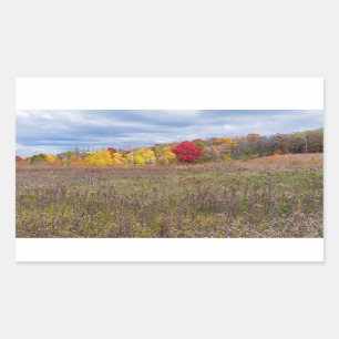 Pegatina Rectangular paisaje de praderas en otoño en el parque estatal