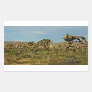 Pegatina Rectangular Paisaje del desierto del Parque Nacional del Árbol