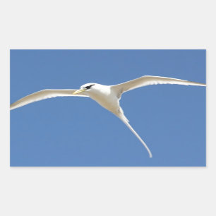 Pegatina Rectangular Pájaro Paja en Cola Isla Mauricio