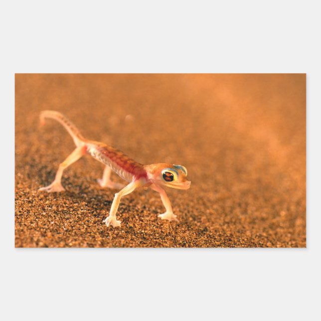 Pegatina Rectangular Palmatogecko En Duna De Arena, Swakpomund, Erongo (Anverso)