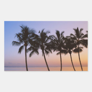 Pegatina Rectangular Palmera, mañana