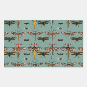 Pegatina Rectangular Palos, Katydids y Dragonflies