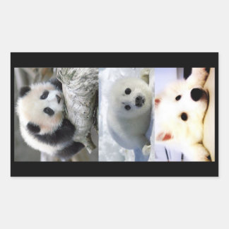 Pegatina Rectangular Panda-Seal-Mini American Eskimo