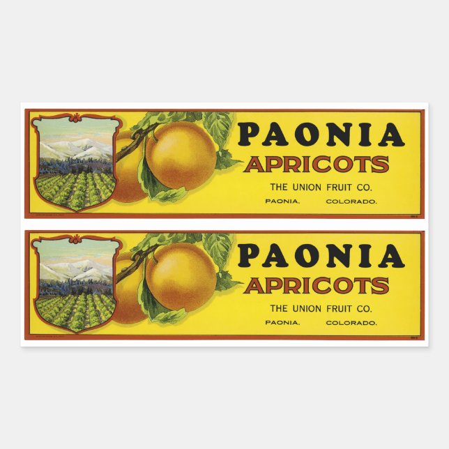 Pegatina Rectangular Paonia Apricots Label Art (Anverso)