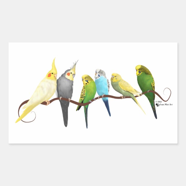 Pegatina Rectangular ¡Parakeets y Cockatiels! (Anverso)