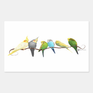 Pegatina Rectangular ¡Parakeets y Cockatiels!
