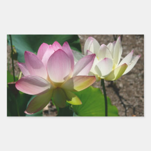 Pegatina Rectangular Pareja de flores de Lotus I