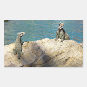 Pegatina Rectangular Pareja de Iguanas Fotografía de Vida Silvestre Tro