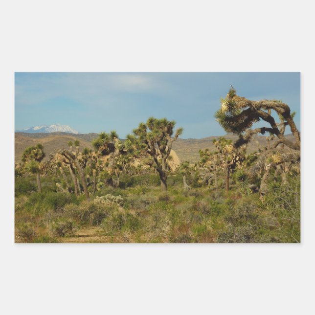 Pegatina Rectangular Parque Nacional Joshua Tree Paisaje Desértico (Anverso)